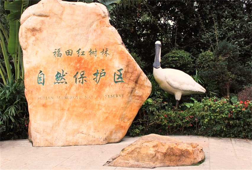 福田紅樹林保護(hù)區(qū)科普教育設(shè)施改造工程