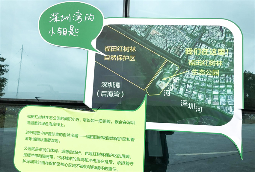 福田紅樹林保護(hù)區(qū)科普教育設(shè)施改造工程