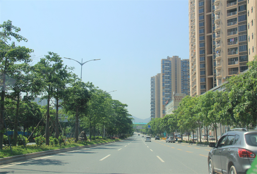 深圳北站周邊綠化景觀提升工程