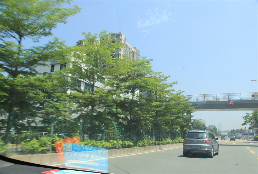 深圳北站周邊綠化景觀提升工程