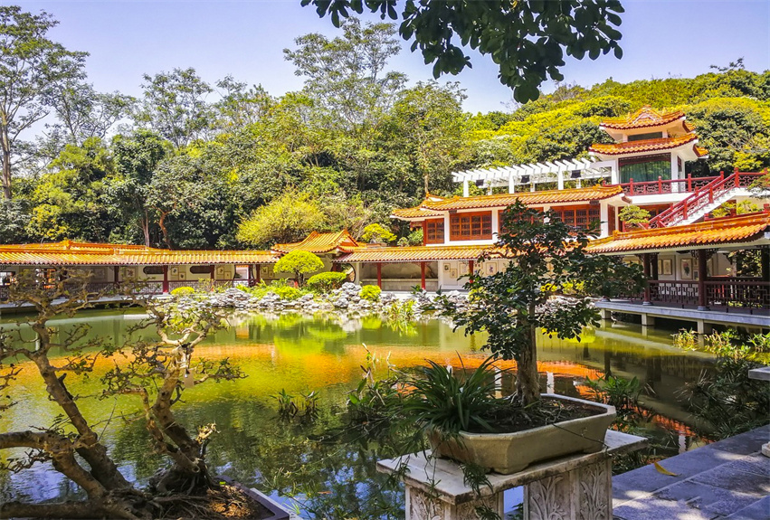 深圳仙湖植物園野營(yíng)區(qū)綠化工程