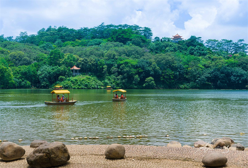 深圳仙湖植物園野營(yíng)區(qū)綠化工程
