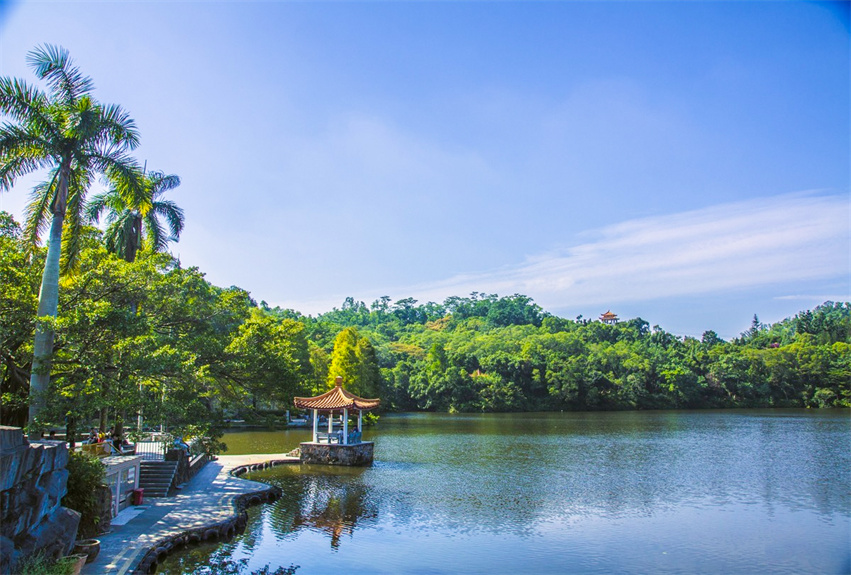 深圳仙湖植物園野營(yíng)區(qū)綠化工程