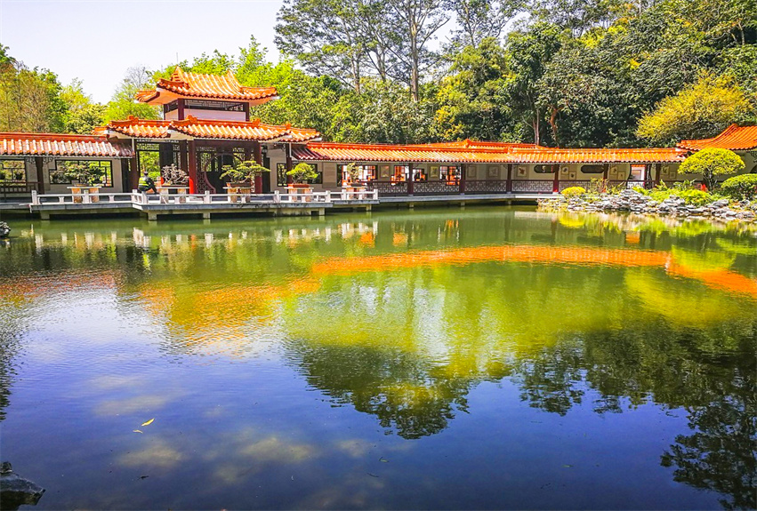 深圳仙湖植物園野營(yíng)區(qū)綠化工程
