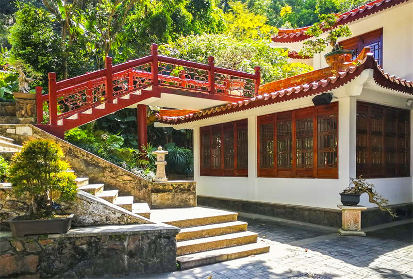 深圳仙湖植物園野營(yíng)區(qū)綠化工程