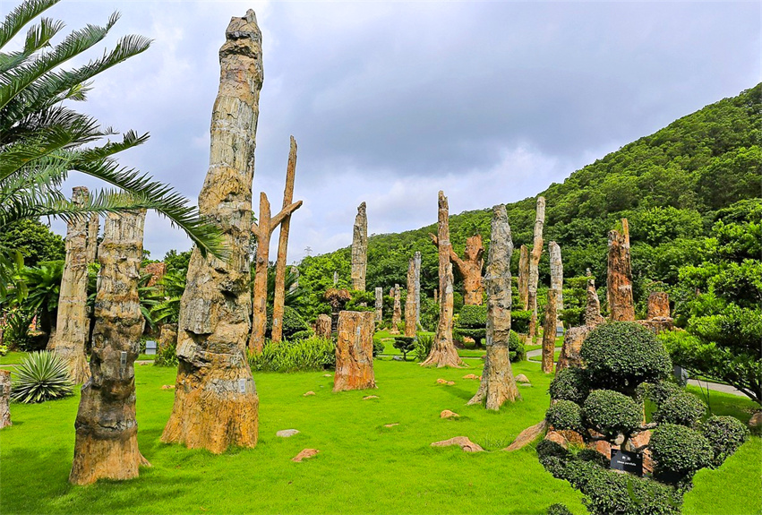 深圳仙湖植物園野營(yíng)區(qū)綠化工程