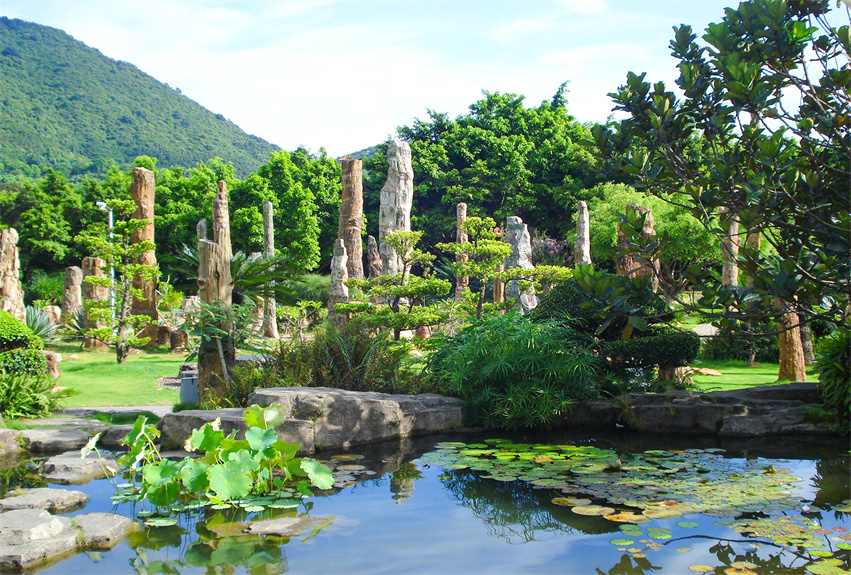 深圳仙湖植物園野營(yíng)區(qū)綠化工程
