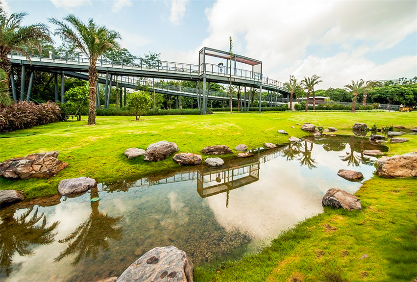 深圳市福田區(qū)香蜜湖街道綠地營養(yǎng)承包項目