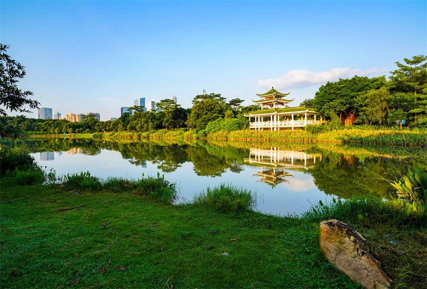 福田中心公園景觀建設(shè)項目
