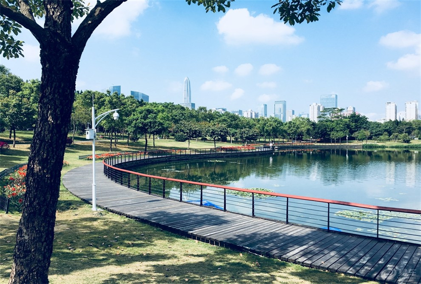 福田中心公園景觀建設(shè)項目