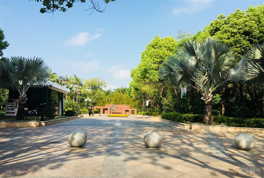 福田中心公園景觀建設(shè)項目